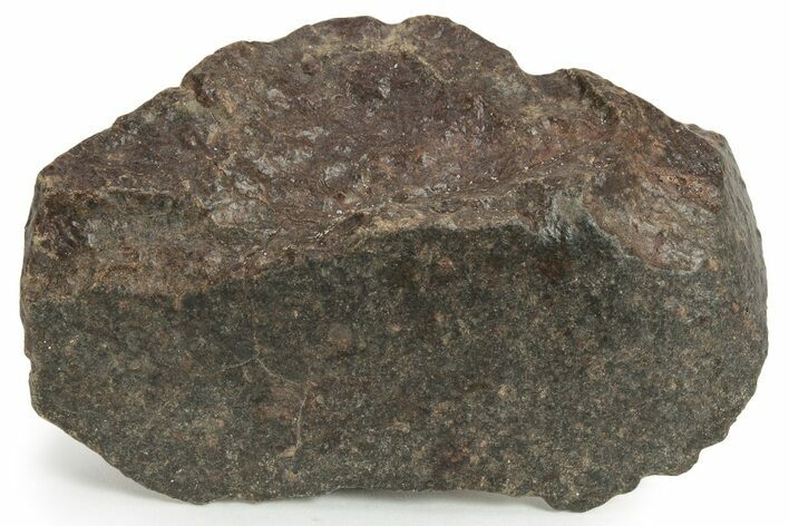 Chondrite Meteorite ( g) - Western Sahara Desert #232949